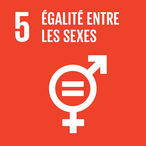 icon-gender-equality-fr