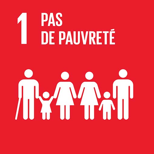 icon-no-poverty-fr