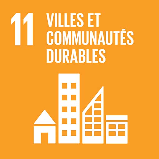 icon-sustainable-cities-communities-fr