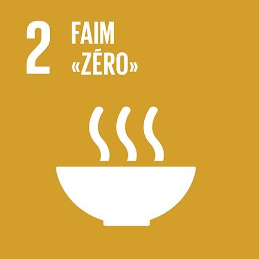 icon-zero-hunger-fr